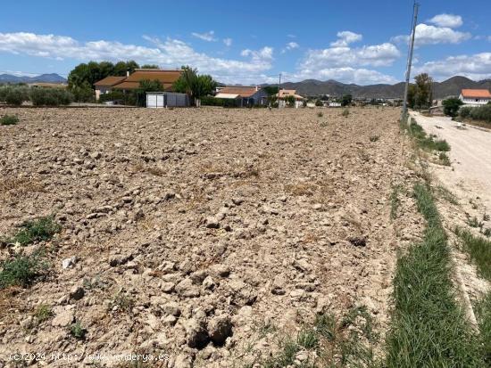 Parcela para construcción junto a Centro Comercial Almenara - MURCIA