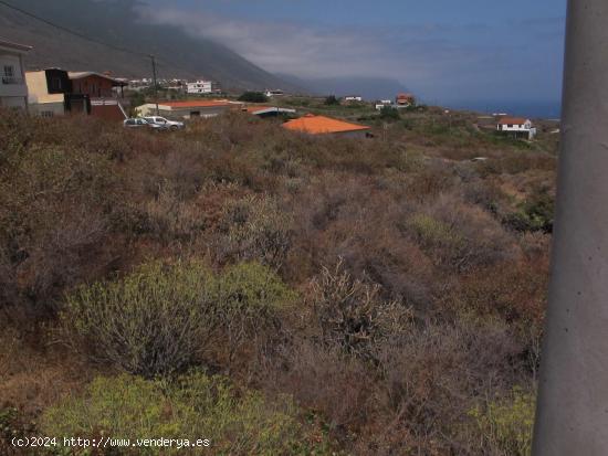 Terreno en Frontera / El Hierro - SANTA CRUZ DE TENERIFE