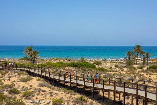 RESIDENCIAL DE OBRA NUEVA EN ARENALES DEL SOL - ALICANTE