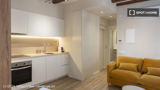 Apartamento de 1 dormitorio en alquiler en El Barri Gotic, Barcelona - BARCELONA