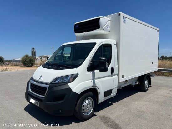 Peugeot Boxer 435 L4 BHDI 103kW 140CV SS camion frigorifico - VILLANUEVA DE CORDOBA