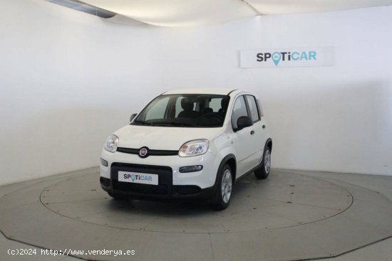  Fiat Panda MY23 1.0 HYB 70CV - Móstoles 