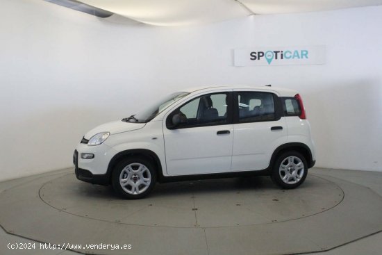 Fiat Panda MY23 1.0 HYB 70CV - Móstoles