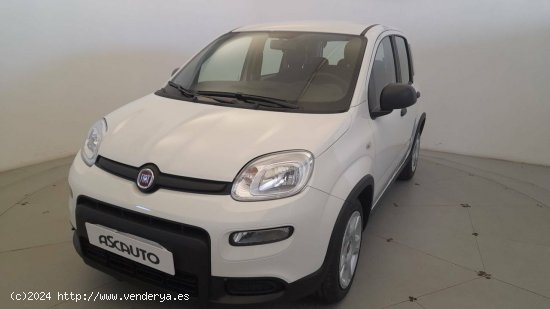 Fiat Panda MY23 1.0 HYB 70CV - Móstoles