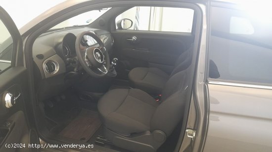 Fiat 500 1.0 MHEV DOLCEVITA 70 3P - Móstoles