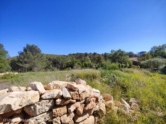 ÚNICO TERRENO URBANO EN VENTA EN EL COLL DE LA BARRACA - BARCELONA