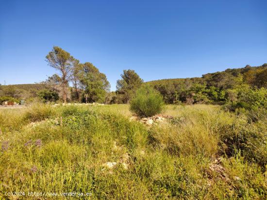 ÚNICO TERRENO URBANO EN VENTA EN EL COLL DE LA BARRACA - BARCELONA