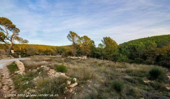 ÚNICO TERRENO URBANO EN VENTA EN EL COLL DE LA BARRACA - BARCELONA