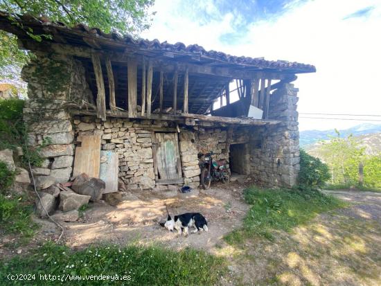 VENTA DE CUADRA CON VISTAS A LOS PICOS DE EUROPA - ASTURIAS