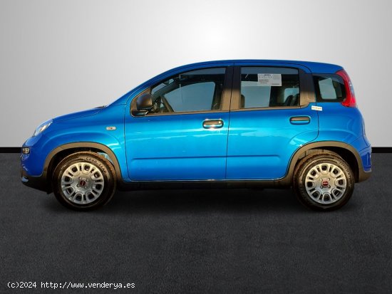 Fiat Panda 1.0 Hybrid 51KW (70 CV) - Sevilla