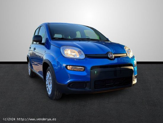 Fiat Panda 1.0 Hybrid 51KW (70 CV) - Sevilla