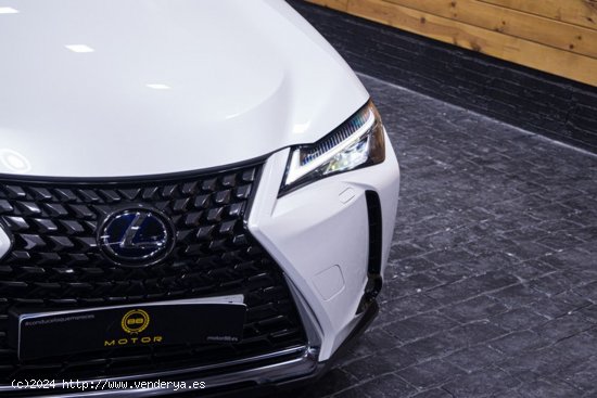 Lexus UX 2.0 250h Business Lexus UX 2.0 250h Business - Madrid