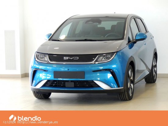 BYD Dolphin Design - SANTANDER