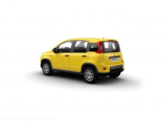 Fiat Panda Panda 1.0 Hybrid 51kW (70cv) - Santander