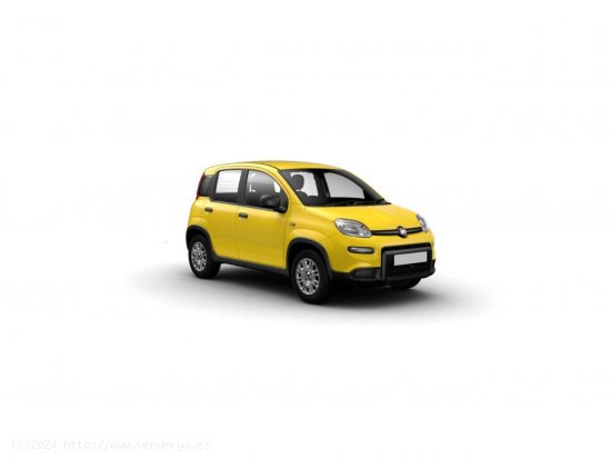 Fiat Panda Panda 1.0 Hybrid 51kW (70cv) - Santander