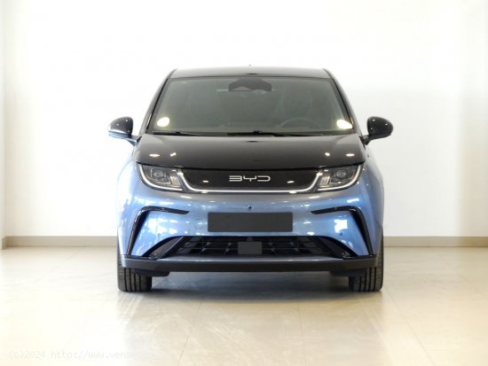 BYD Dolphin Design - SANTANDER