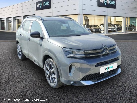 Citroën C5 Aircross  BlueHdi 96kW (130CV) S&S EAT8 Shine Pack - Los Barrios