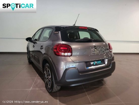 Citroën C3  BlueHDi 75KW (100CV) S&S C-Series - Blanes