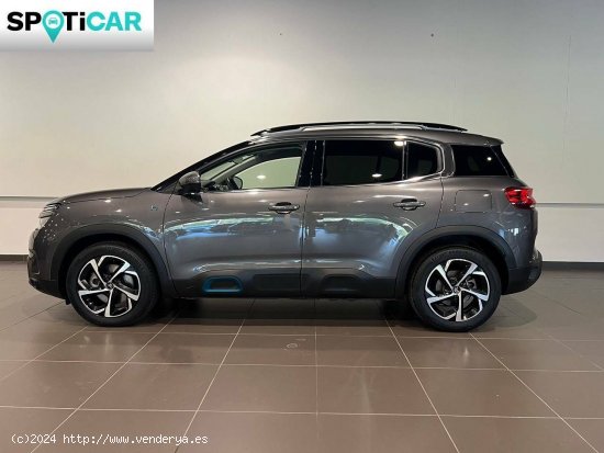 Citroën C5 Aircross  225 e-EAT8 Feel - Blanes