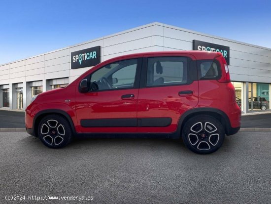 Fiat Panda   Hybrid 1.0 Gse 51kw (70CV) City Life - Sevilla