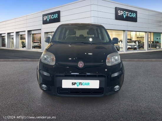 Fiat Panda   Hybrid 1.0 Gse 51kw (70CV) City Life - Sevilla