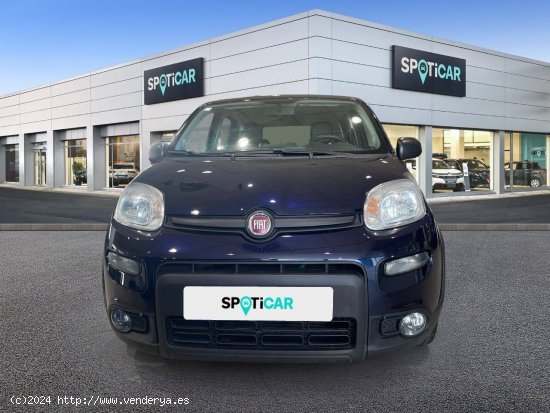 Fiat Panda   Hybrid 1.0 Gse 51kw (70CV) City Life - Sevilla