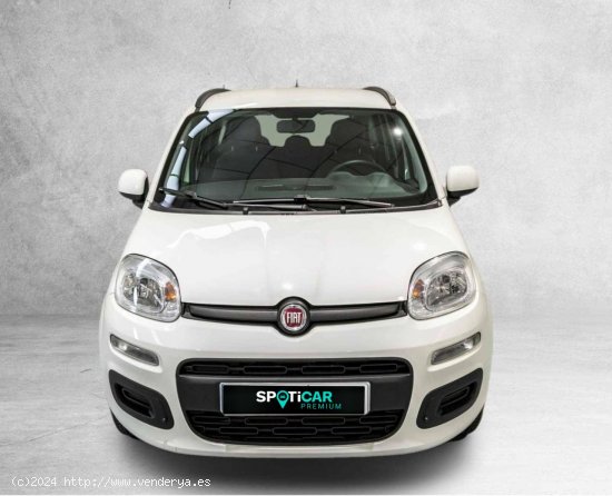 Fiat Panda Easy 1.2 51kW (69CV) - Huesca