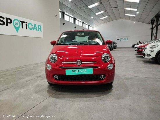 Fiat 500 1.0 Hybrid 70cv Monotrim - Albacete