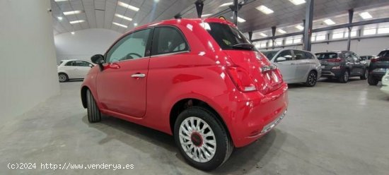 Fiat 500 1.0 Hybrid 70cv Red - Albacete