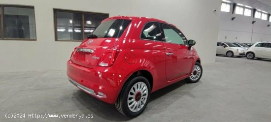 Fiat 500 1.0 Hybrid 70cv Red - Albacete