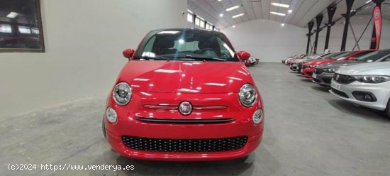 Fiat 500 1.0 Hybrid 70cv Red - Albacete