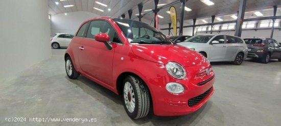 Fiat 500 1.0 Hybrid 70cv Red - Albacete