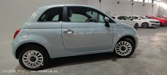 Fiat 500 1.2 8v 69cv Dolcevita - Albacete