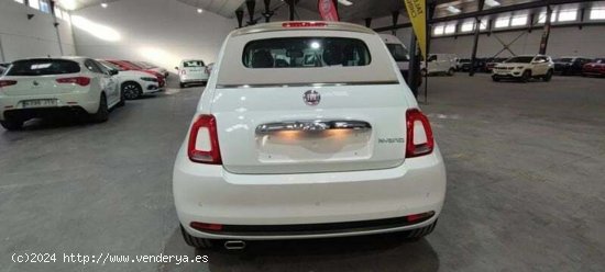 Fiat 500C 1.0 Hybrid 70cv Dolcevita SS Edition - Albacete