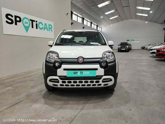 Fiat Panda 1.0 70cv Hybrid Gse City Cross - Albacete