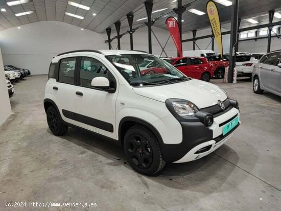 Fiat Panda 1.0 70cv Hybrid Gse City Cross - Albacete