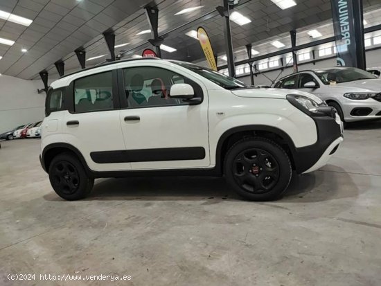 Fiat Panda 1.0 70cv Hybrid Gse City Cross - Albacete