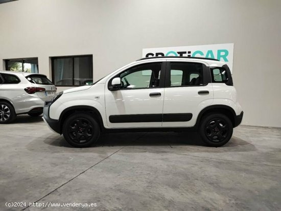 Fiat Panda 1.0 70cv Hybrid Gse City Cross - Albacete