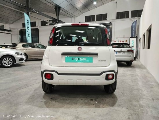 Fiat Panda 1.0 70cv Hybrid Gse City Cross - Albacete