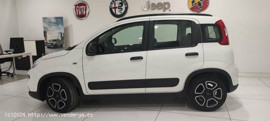 Fiat Panda 1.0 Gse 70cv Hybrid City Life - Albacete