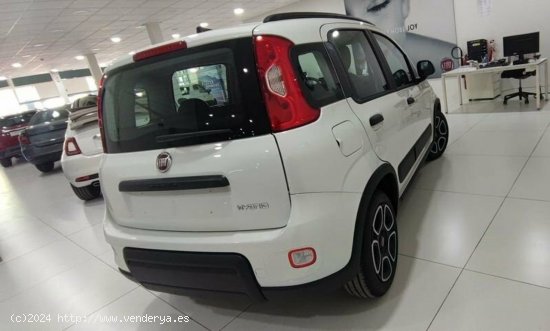 Fiat Panda 1.0 Gse 70cv Hybrid City Life - Albacete