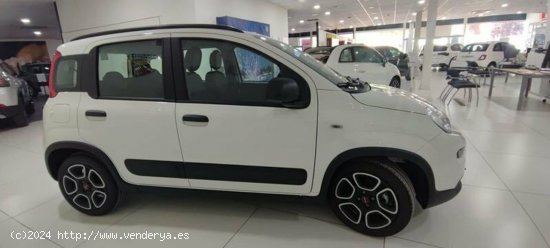 Fiat Panda 1.0 Gse 70cv Hybrid City Life - Albacete