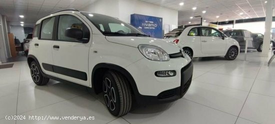 Fiat Panda 1.0 Gse 70cv Hybrid City Life - Albacete