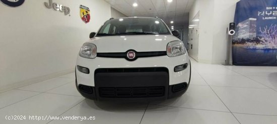 Fiat Panda 1.0 Gse 70cv Hybrid City Life - Albacete