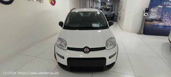 Fiat Panda 1.0 Gse 70cv Hybrid City Life - Albacete