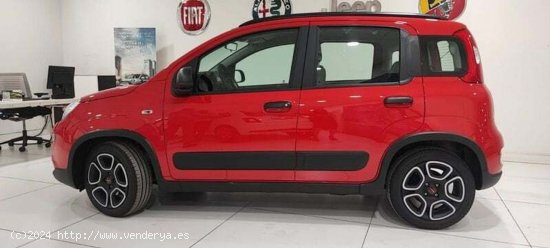 Fiat Panda 1.0 Gse 70cv Hybrid City Life - Albacete