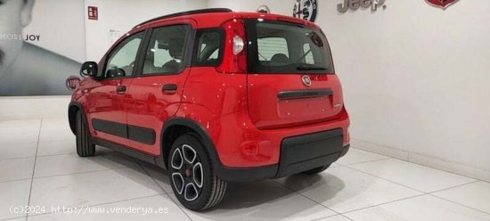 Fiat Panda 1.0 Gse 70cv Hybrid City Life - Albacete