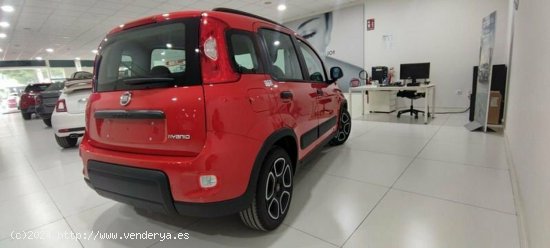 Fiat Panda 1.0 Gse 70cv Hybrid City Life - Albacete