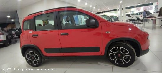 Fiat Panda 1.0 Gse 70cv Hybrid City Life - Albacete