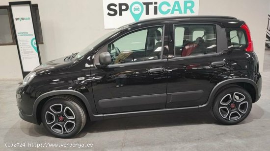 Fiat Panda 1.0 Gse 70cv Hybrid City Life - Albacete